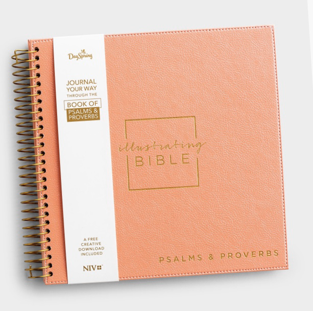 Illustrating Bible NIV Pink (Spriral Bound Journaling Bible) – CTracyLouie